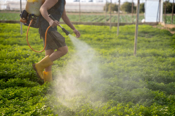 Best Mosquito Control Services  in Chesterbrook, PA