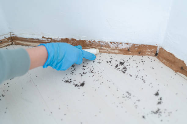 Best Mosquito Control Services  in Chesterbrook, PA